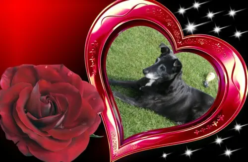 Andachtsbild von Unbekannt