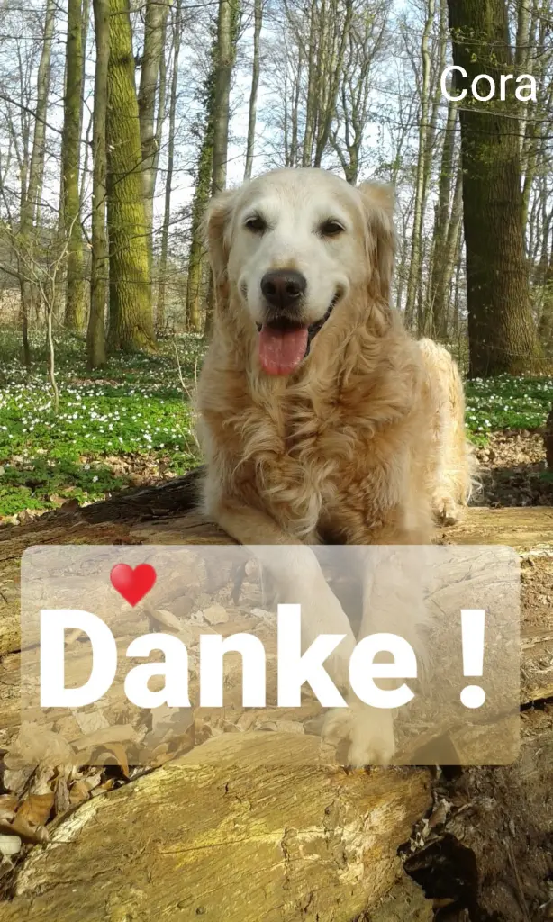 Andachtsbild von Unbekannt