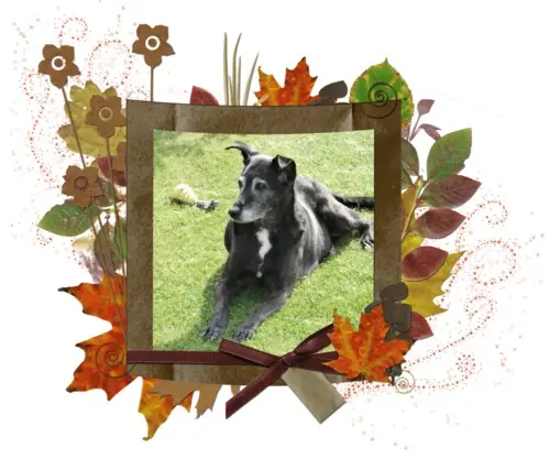 Andachtsbild von Unbekannt