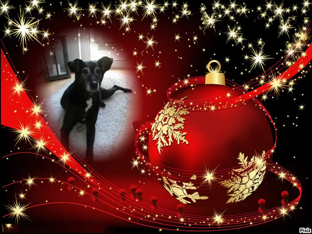 Andachtsbild von Unbekannt