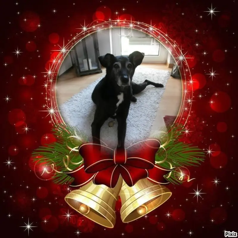 Andachtsbild von Unbekannt