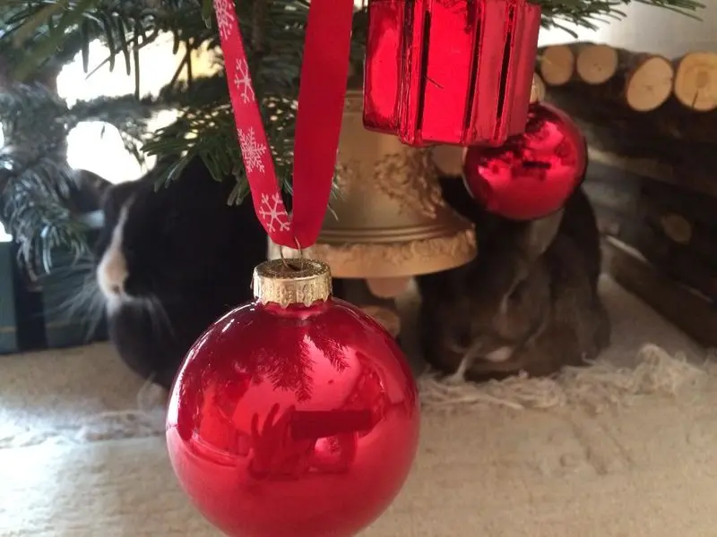 Andachtsbild von Kurz vor Weihnachten