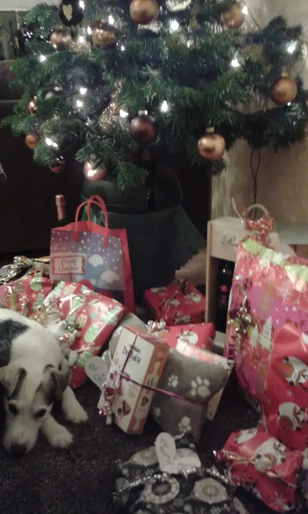 Andachtsbild von Kerstin mit Gismo im Herzen