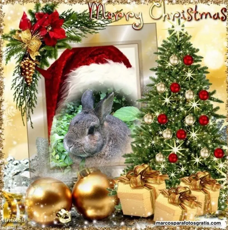 Andachtsbild von ❤️WEIHNACHTEN❤️❤️❤️