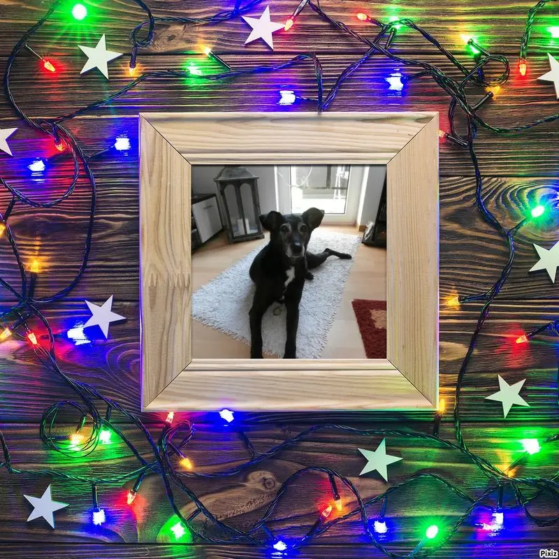 Andachtsbild von Unbekannt