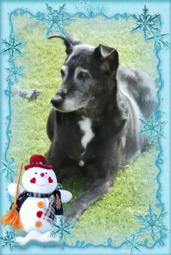 Andachtsbild von Unbekannt