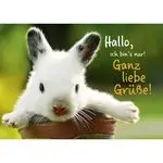 Andachtsbild von Ellen mit Lina ❤️