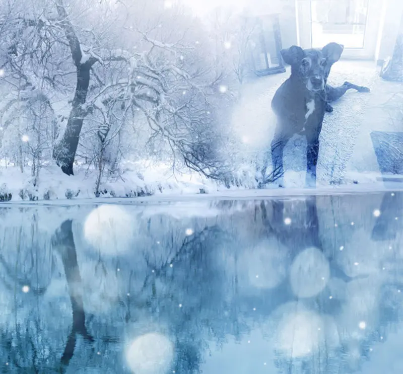 Andachtsbild von Unbekannt