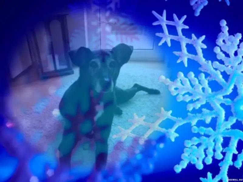 Andachtsbild von Unbekannt