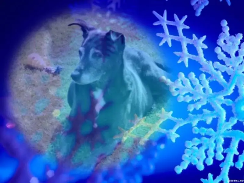 Andachtsbild von Unbekannt