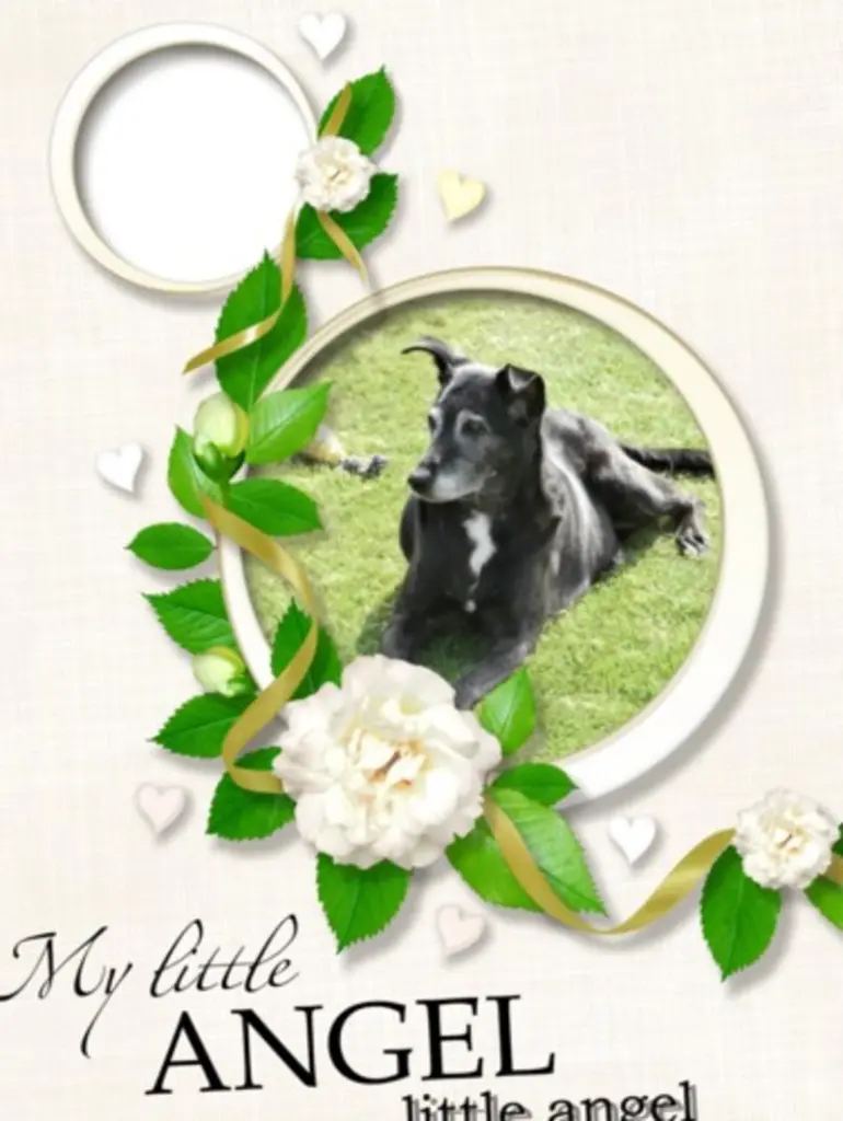 Andachtsbild von Unbekannt