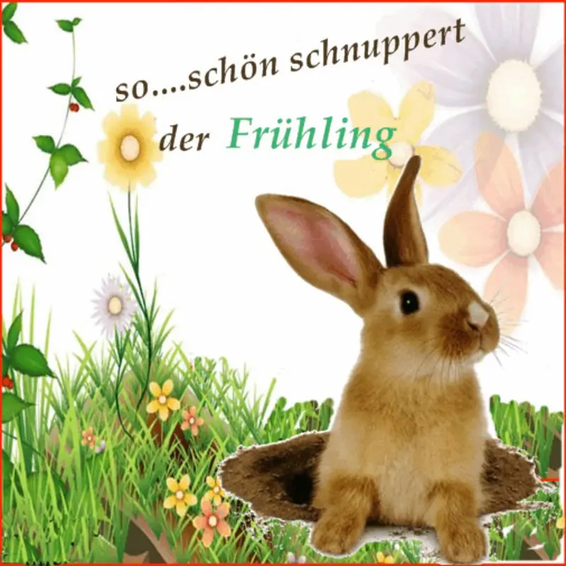 Andachtsbild von Patricia mit Bunny im ❤ gest. 24.11.2020 