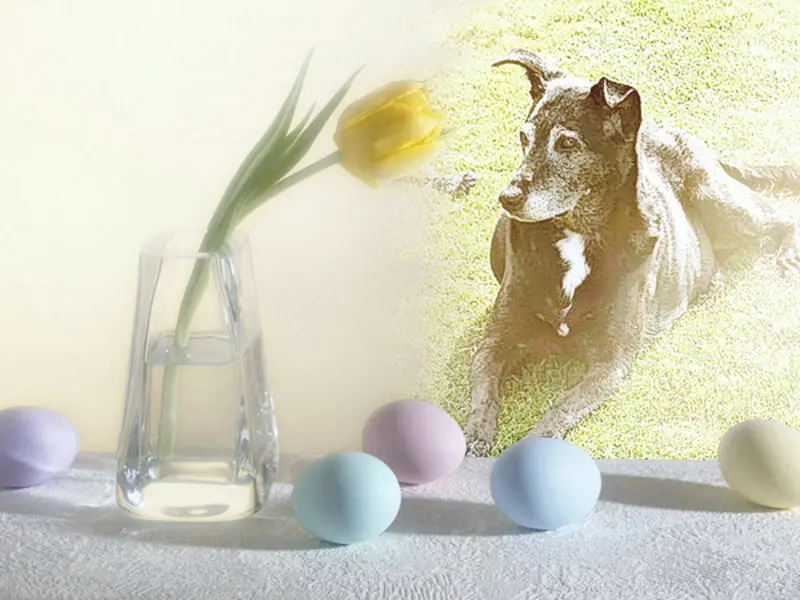 Andachtsbild von Unbekannt