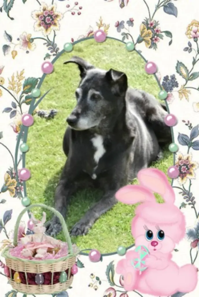 Andachtsbild von Unbekannt