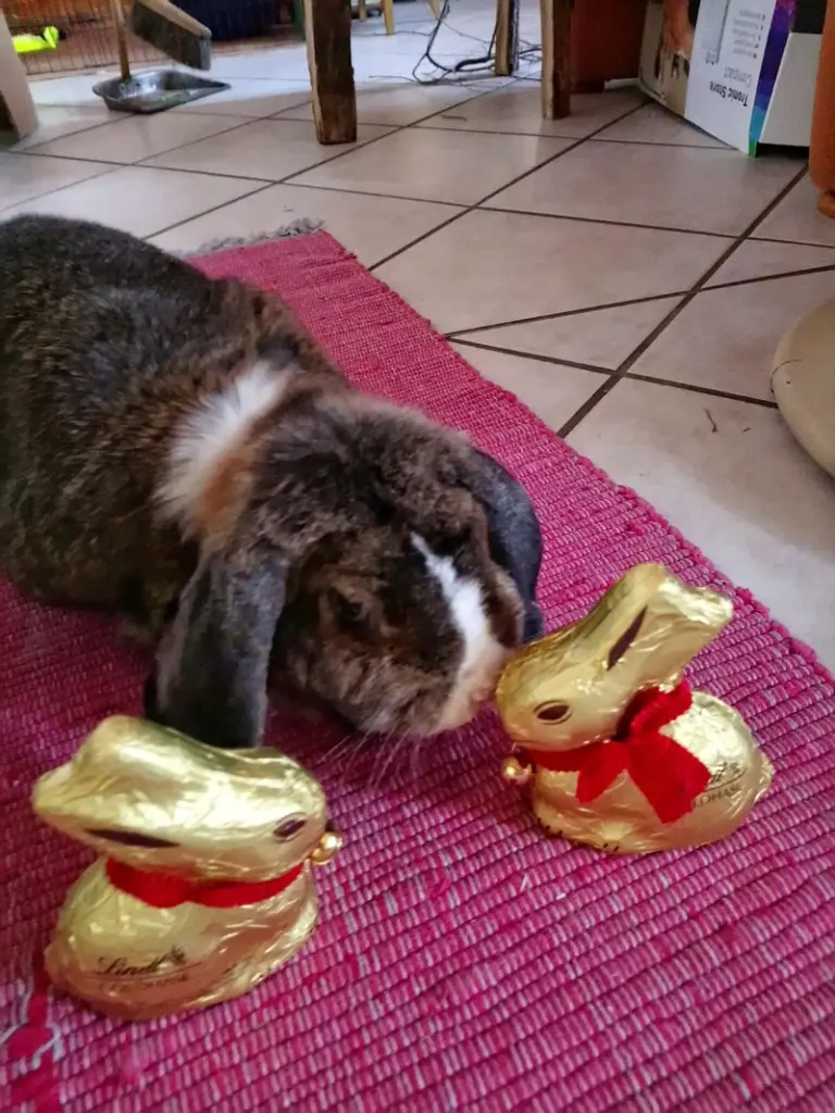 Andachtsbild von Ostergrüße 