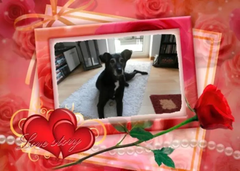 Andachtsbild von Unbekannt