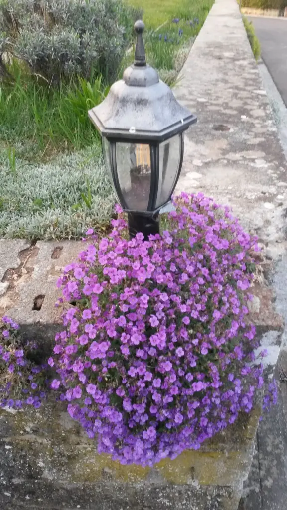 Andachtsbild von Corinna mit Emma, Pummelchen und anderen Sternlein im Herzen