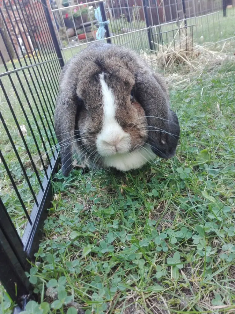 Andachtsbild von Katharina mit Püppi im ♥️ 