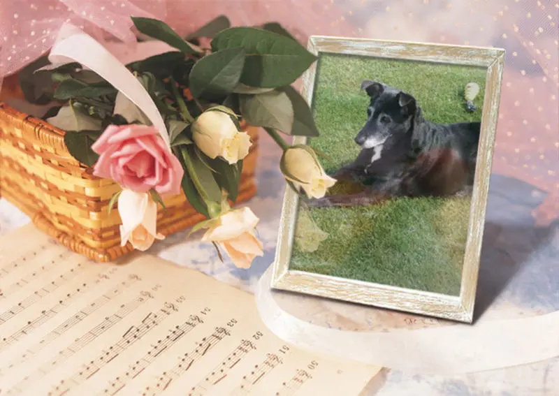 Andachtsbild von Unbekannt