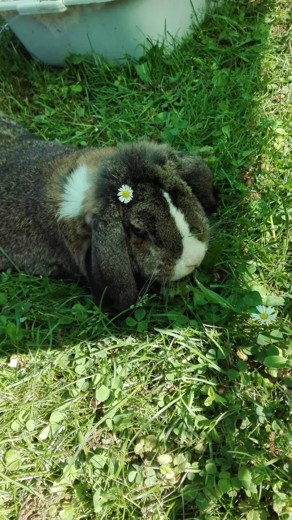 Andachtsbild von Für Pauli ⭐♥️