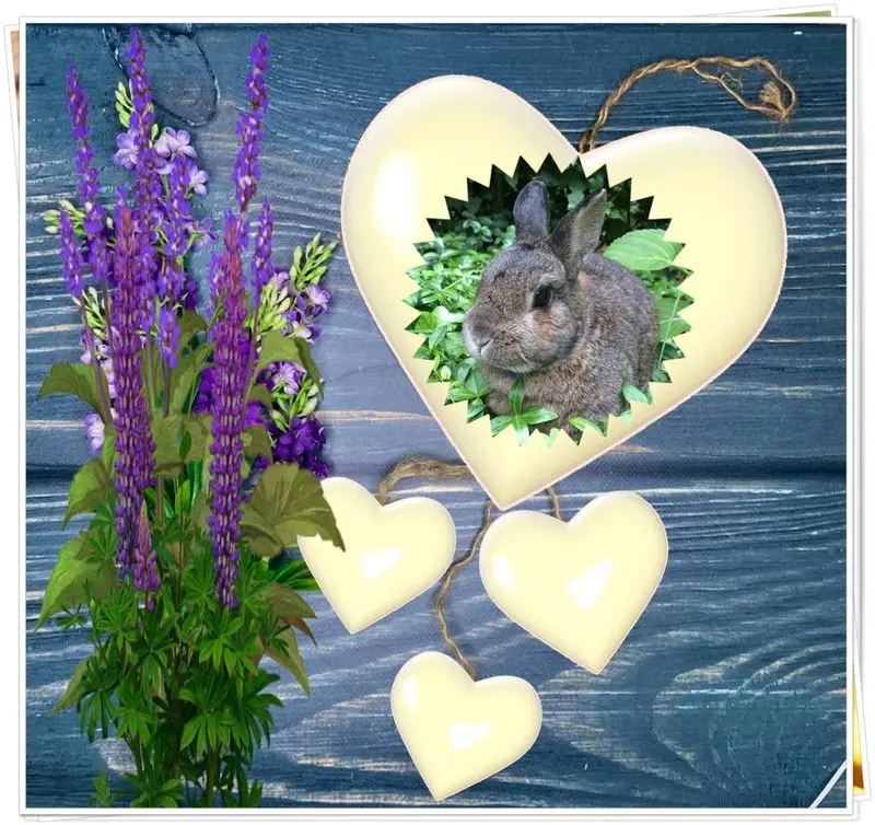 Andachtsbild von ❤️❤️❤️❤️❤️❤️❤️❤️❤️❤️❤️❤️❤️❤️