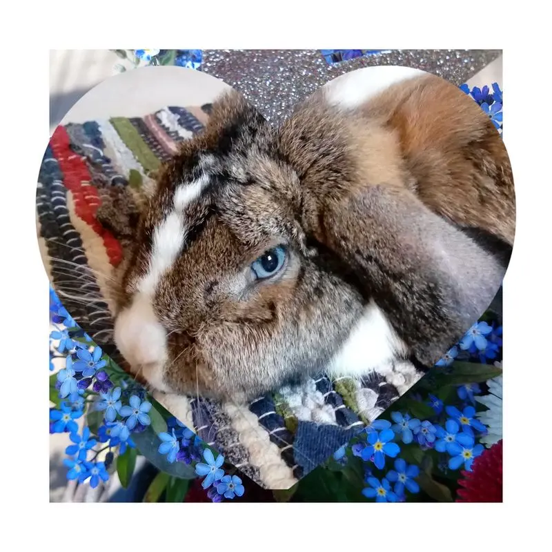 Andachtsbild von Mai Blümchen