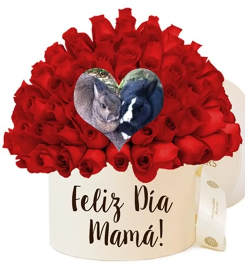 Andachtsbild von ❤️Mama❤️