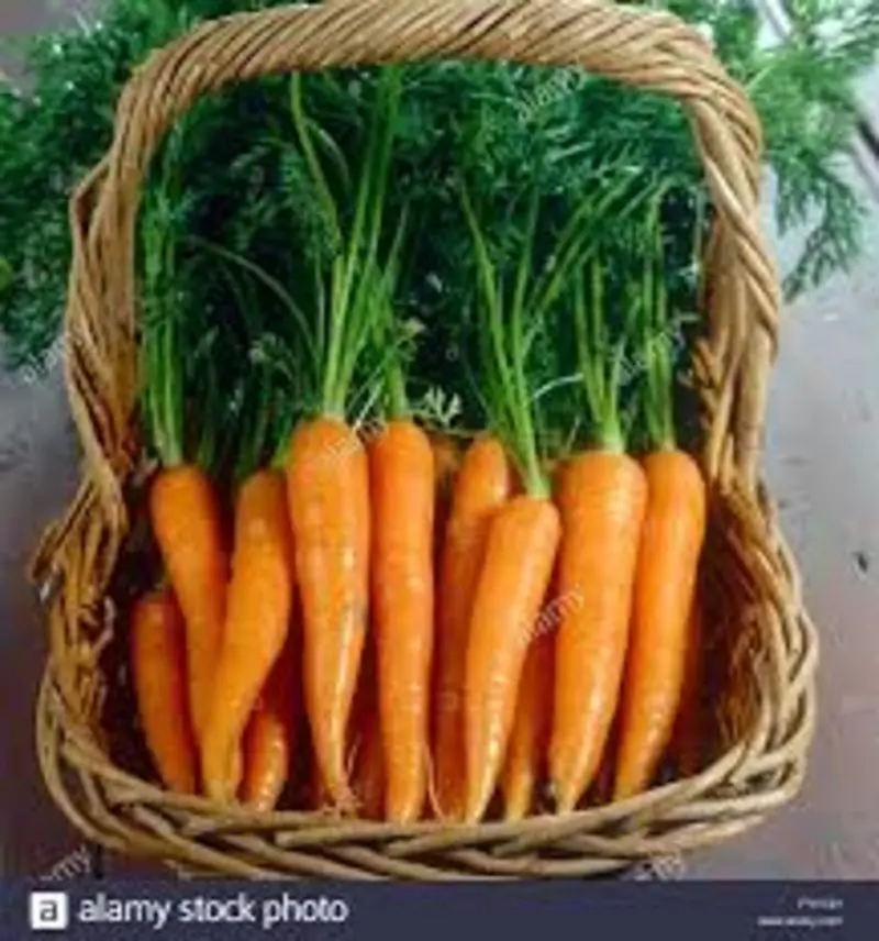 Andachtsbild von Corinna mit Emma, Pummelchen und anderen Sternlein im Herzen