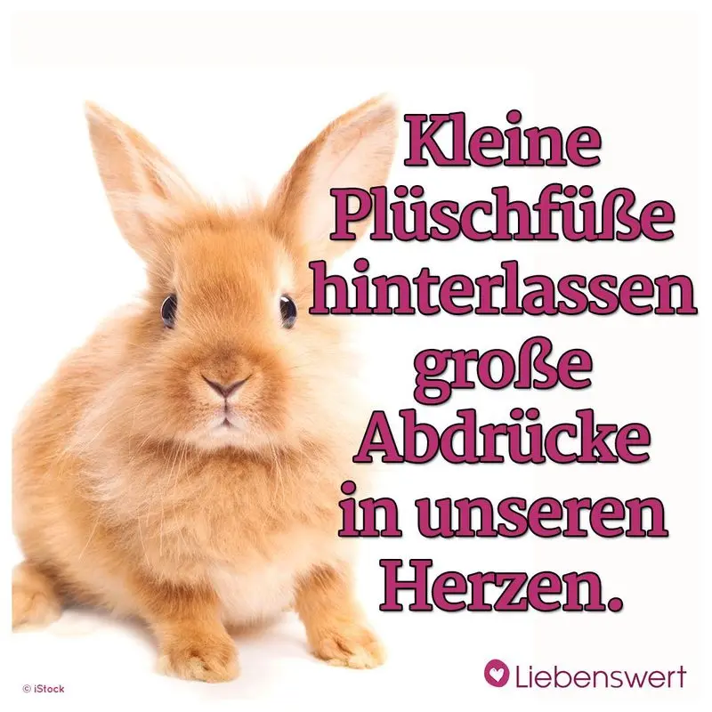 Andachtsbild von Sternchenpost ⭐