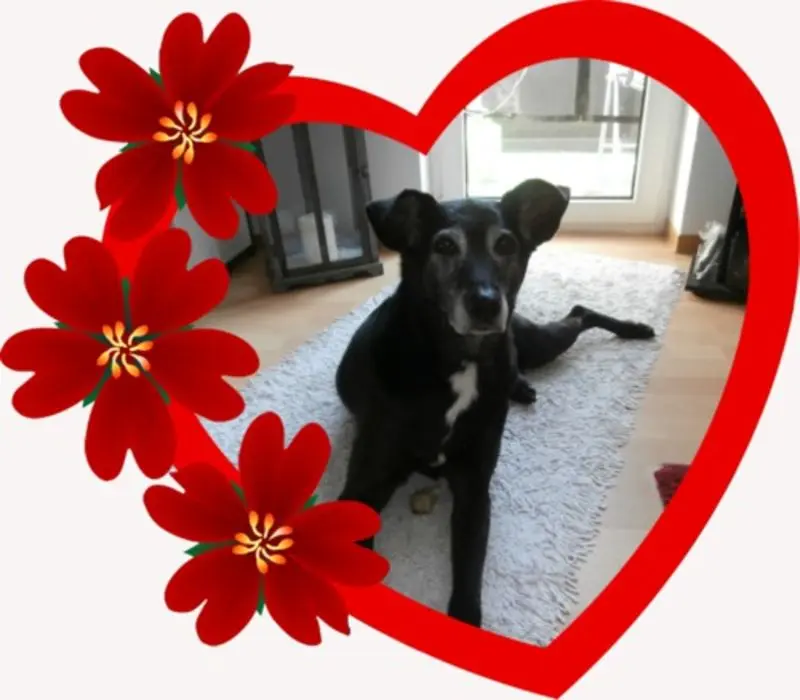 Andachtsbild von Unbekannt