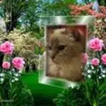 Andachtsbild von Jojo, Regenbogenland