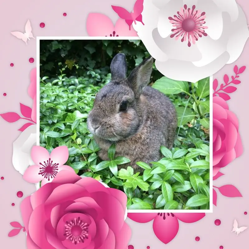 Andachtsbild von Gute Nacht❤️❤️❤️