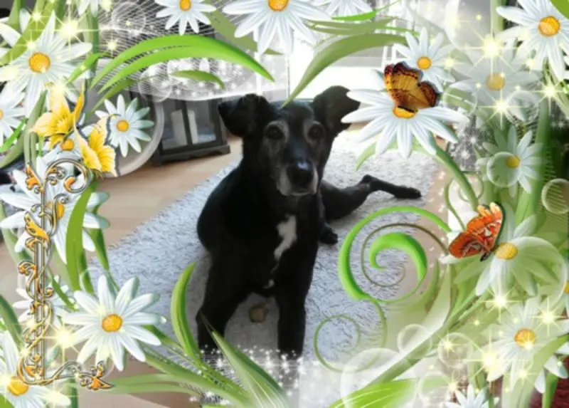 Andachtsbild von Unbekannt