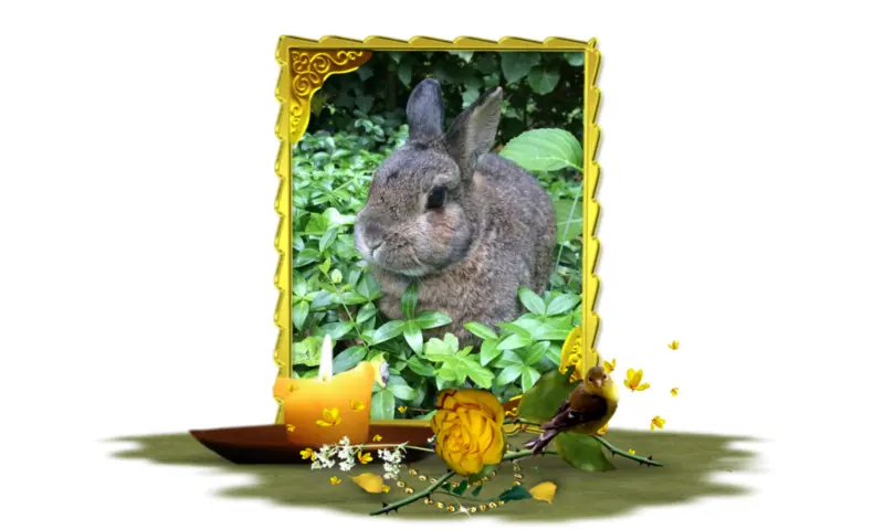 Andachtsbild von Sternchenpost ⭐