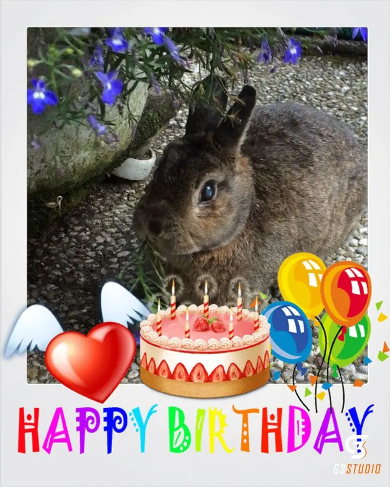 Andachtsbild von Happy Birthday ❤