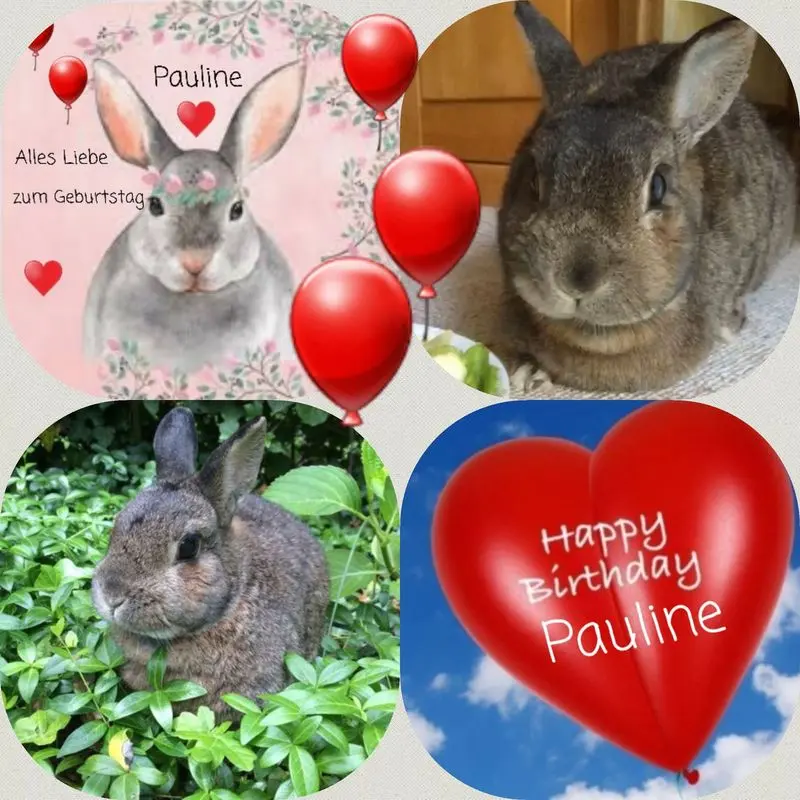 Andachtsbild von Unbekannt