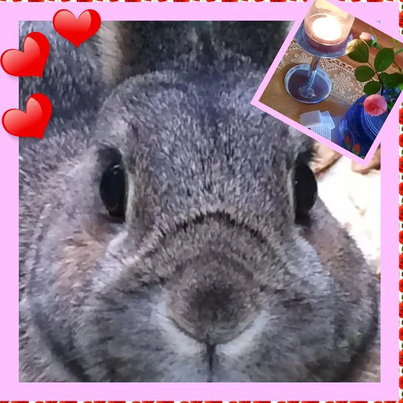 Andachtsbild von ❤Eike und Edeltraud mit unseren 7 Sternchen tief im Herzen ❤❤❤❤❤❤❤