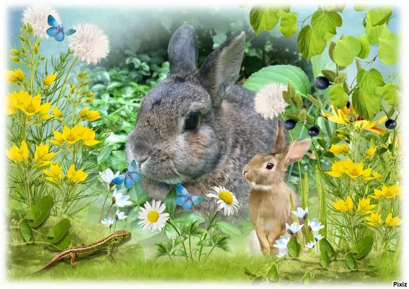 Andachtsbild von Jutta mit Purzel tief im Herzen✟08.05.2016