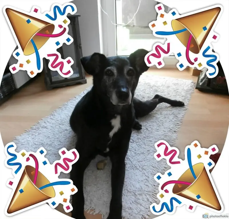 Andachtsbild von Unbekannt