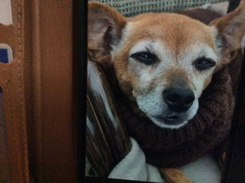 Andachtsbild von Heidi