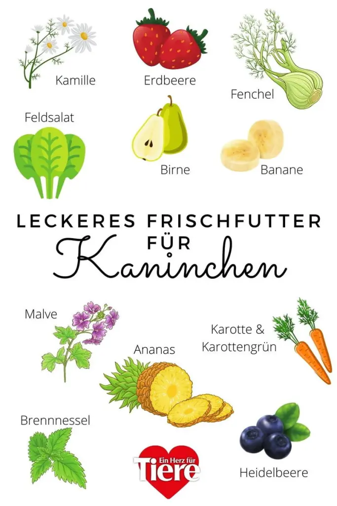 Andachtsbild von Corinna mit Emma, Pummelchen und anderen Sternlein im Herzen