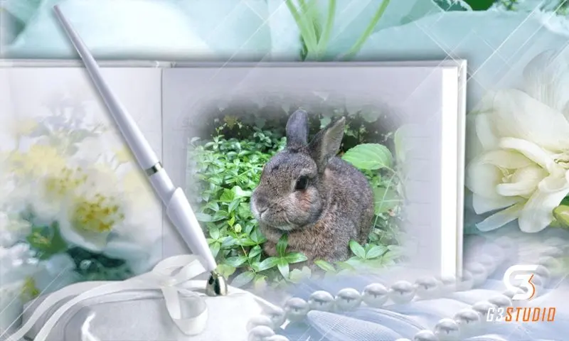 Andachtsbild von Sternchenpost ⭐