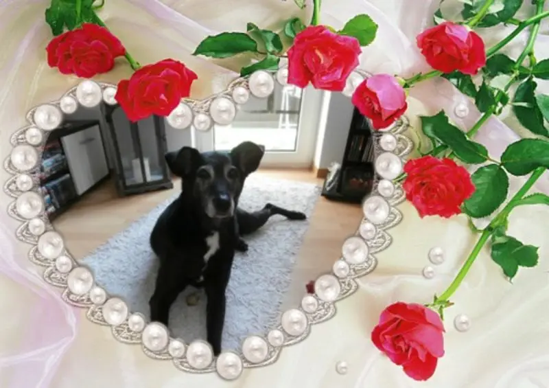 Andachtsbild von Unbekannt