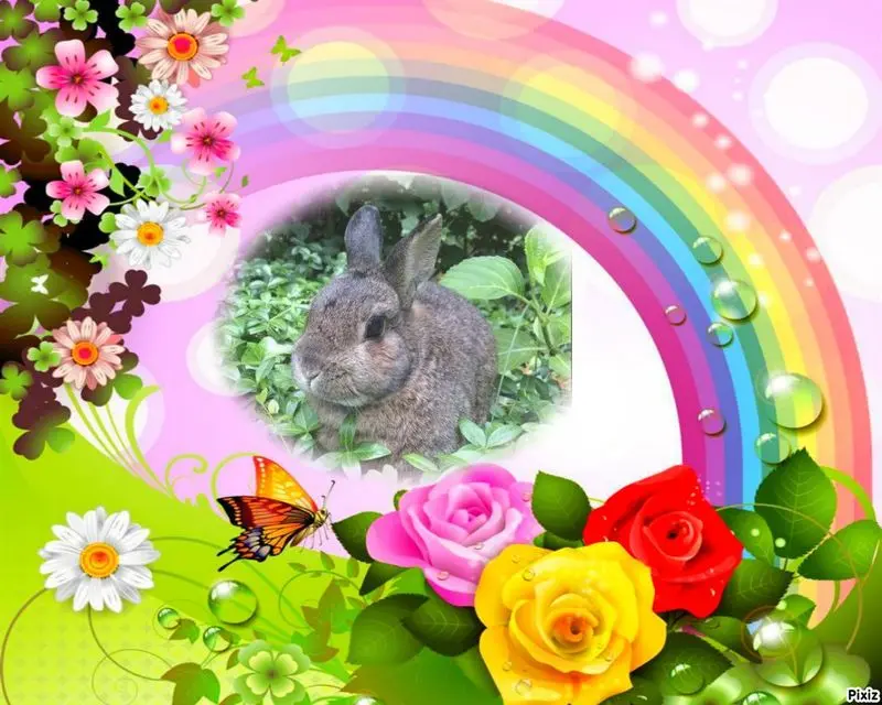 Andachtsbild von Sternchenpost ⭐