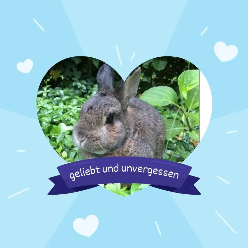 Andachtsbild von Jutta mit Purzel tief im Herzen✟08.05.2016