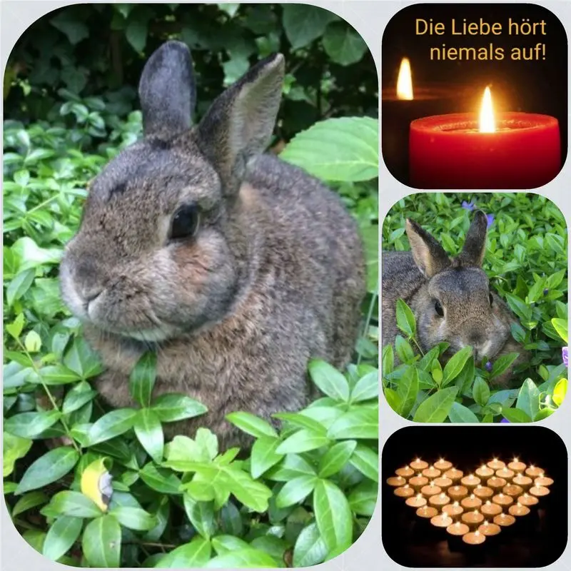 Andachtsbild von Birgit