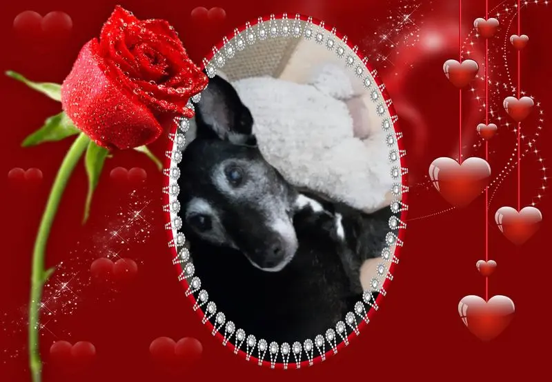 Andachtsbild von Unbekannt