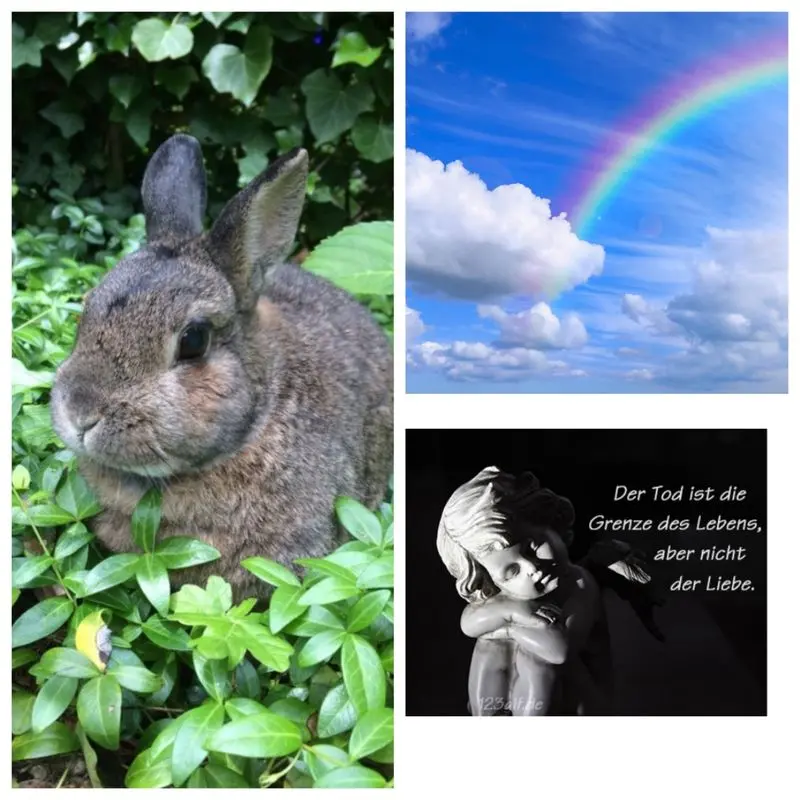 Andachtsbild von Ellen mit Lina ❤️und all meinen Sternchen ❤️