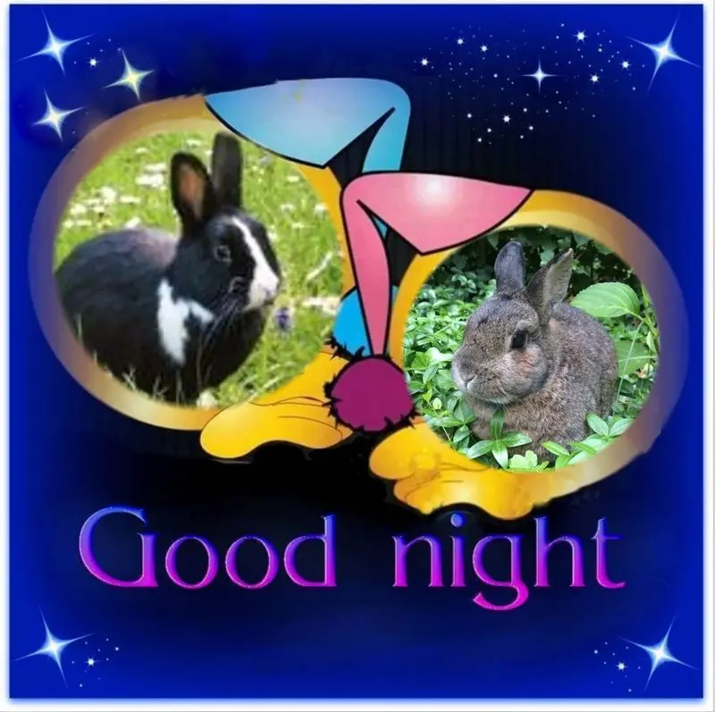 Andachtsbild von Gute Nacht❤️❤️❤️