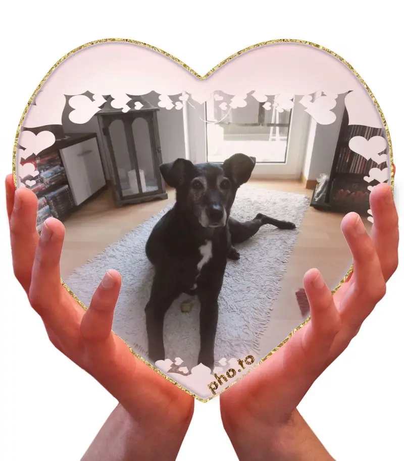 Andachtsbild von Unbekannt